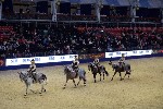 Quadrille - 00768